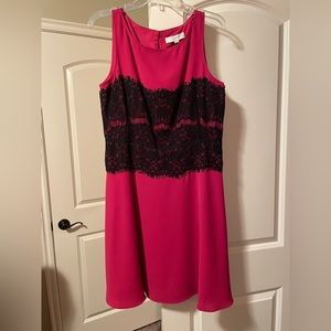Ann Taylor Loft gorgeous hot pink and black dress. Size 12P (petite). Costs $98.